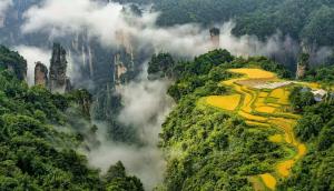 多方助力张家界旅游市场复苏